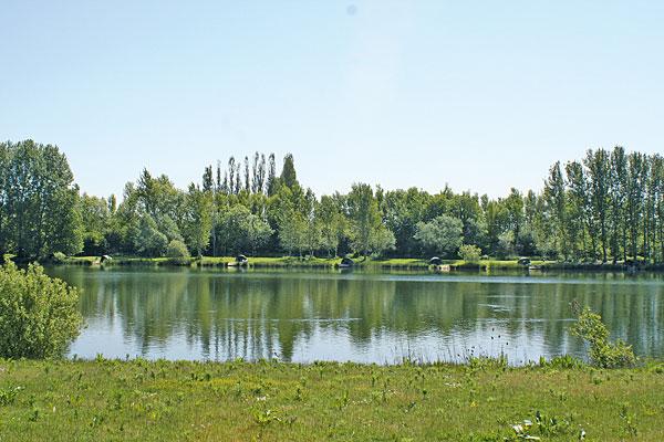 Linear Fisheries - Oxfordshire, a top choice for carp fishing enthusiasts