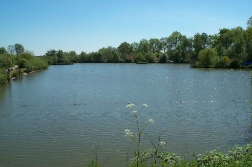 Gold Valley Lakes, a premier carp lakes near me destination in Hampshire