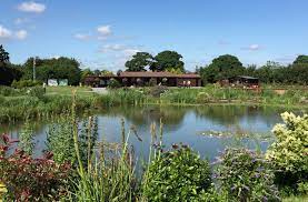Partridge Lakes, a peaceful retreat among fish lakes near me in Cheshire