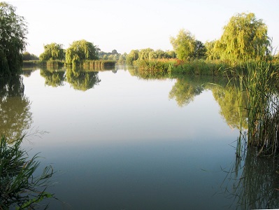 Monk Lakes, a premier destination among fishing lakes near me in Kent