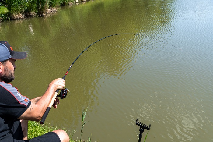 A feeder rod in action