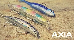 AXIA Flapper Rig 2 Hook