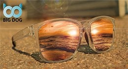 Big Dog Skate Sunglasses