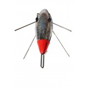 Impact Lead for sea fishing