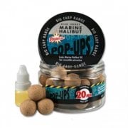 Marine Pop Ups