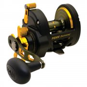 Penn Fathom 25N Multiplier Fishing Reel Star Drag