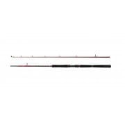 Penn Squadron III 212 30-50lb