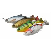 4D Line Thru Pulse Tail Roach