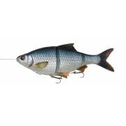 4D Line Thru Roach