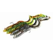 4D Real Eel
