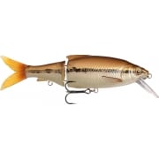 Detailed Roach Lipster Lure