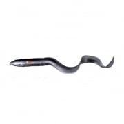 Real Eel Loose Body (new)