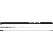 Savage Gear Salt Nordic Big Game inline Rod