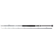 SALT XT Boat Rod